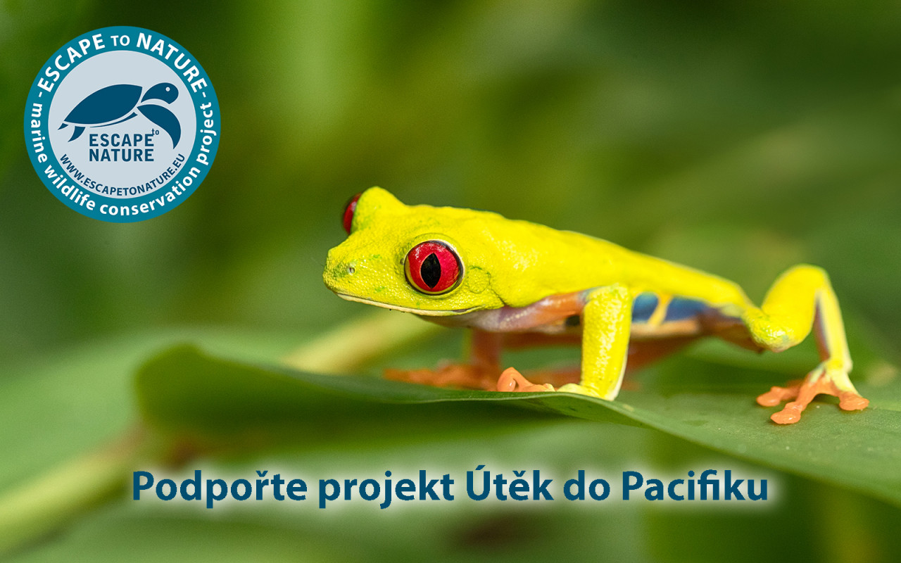 Útěk do Pacifiku - Papua Nová Guinea