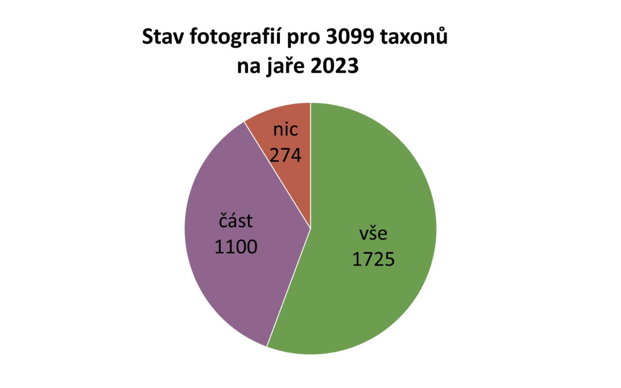 Fotografie všech českých rostlin v jedné KNIZE? Pojďme to dotáhnout!