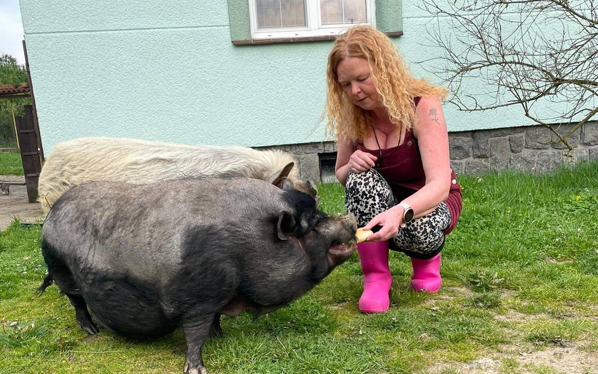 ZOOterapie léčba zvířecími mazlíčky