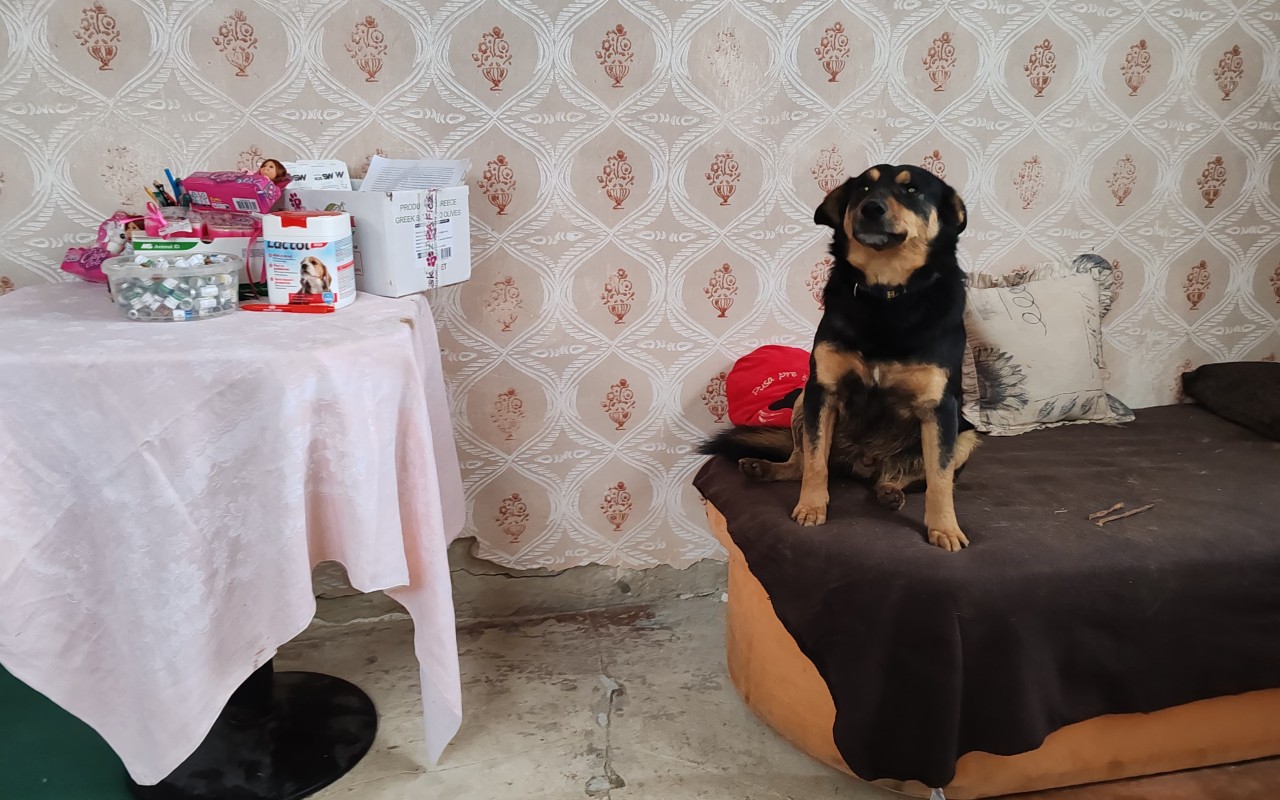 Podpořili jste FARMU HAPPY, aby mohla dále pomáhat