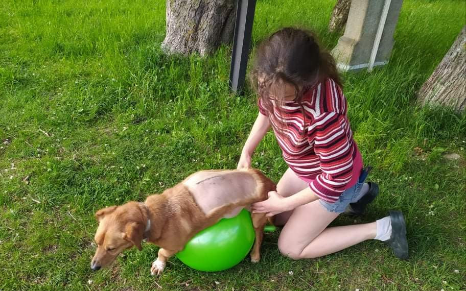 Pomohli jste Bambíkovi a Zobánkovi