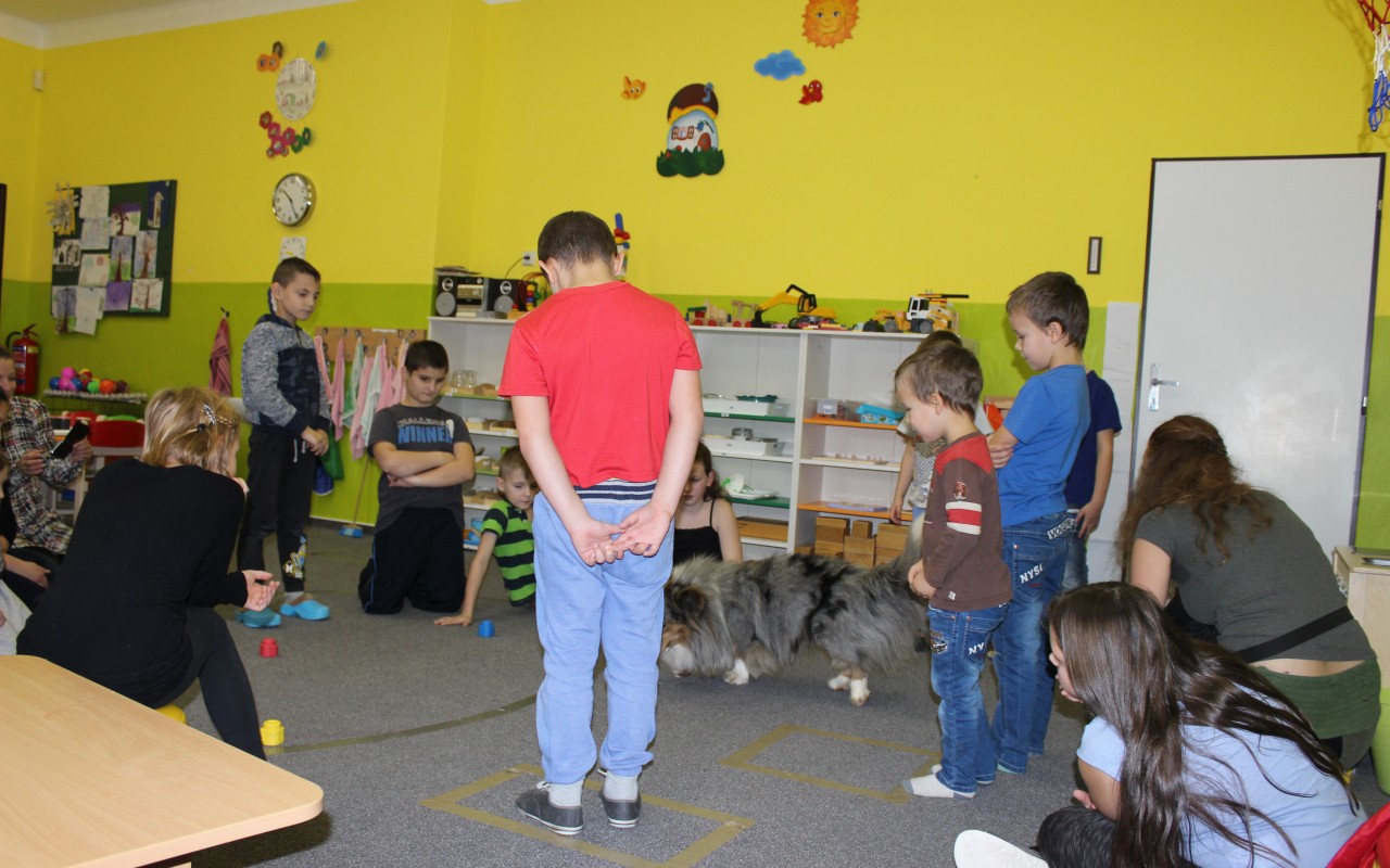 Canisterapie CANTES v krajích ČR jako sociální rehabilitace