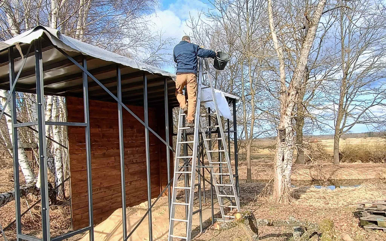 Poskytli jste nový domov pro orlici Gaiu