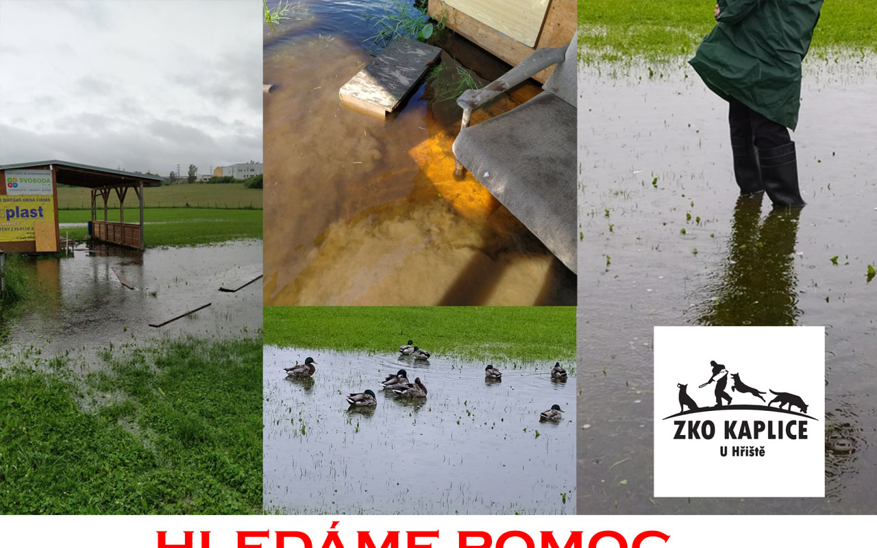 Pomohli jste kynologické organizaci Kaplice k vybudování nového cvičiště pro pejsky.