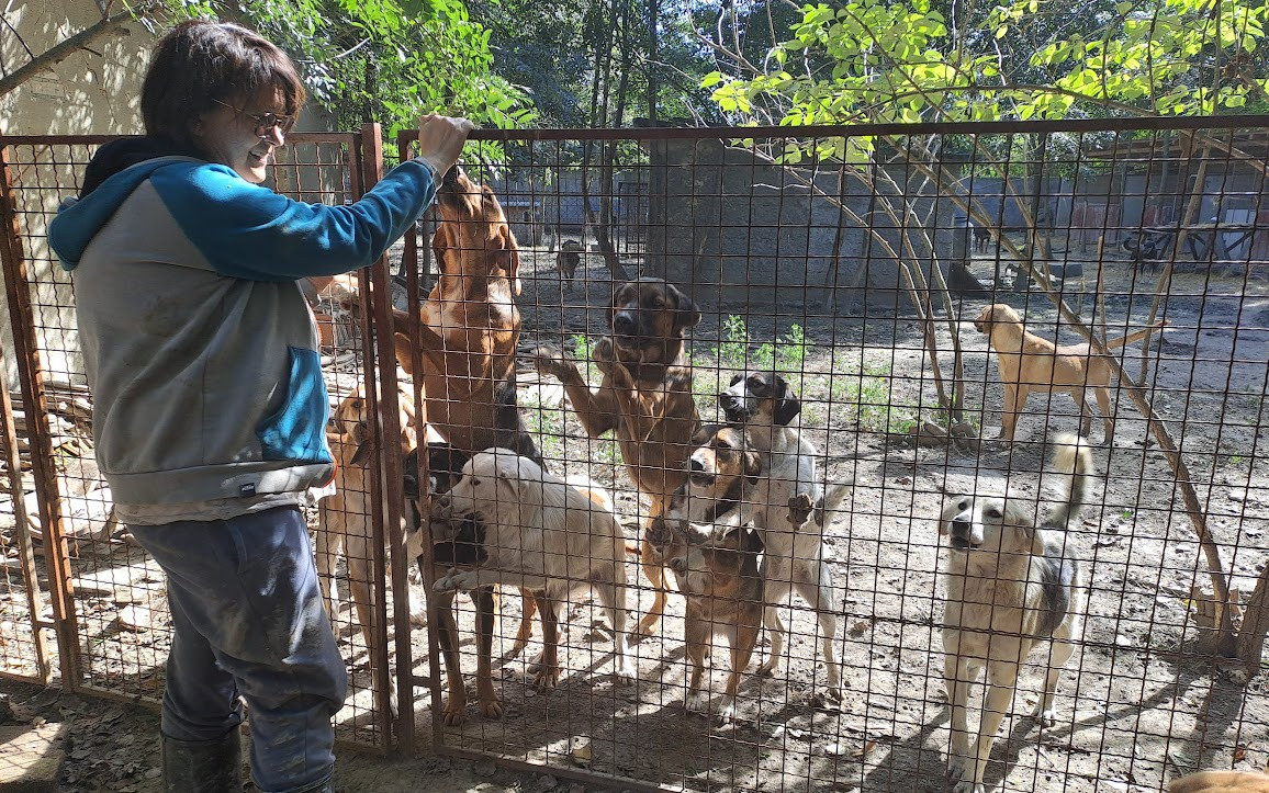 Pomohli jste přispět na srbský útulek paní Světlany