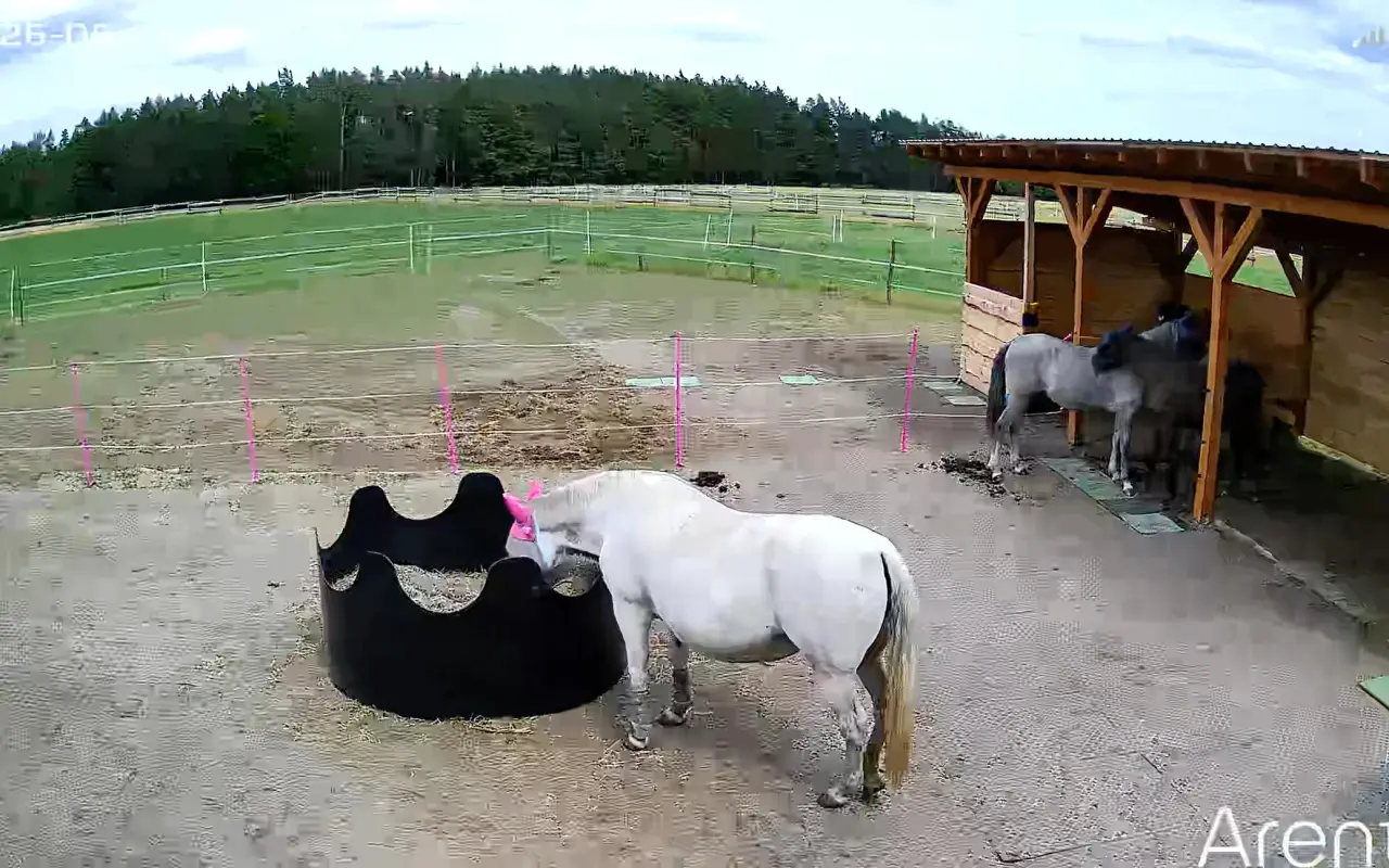 Pomohli jste Chérii a Areskovi zvládnout léčbu