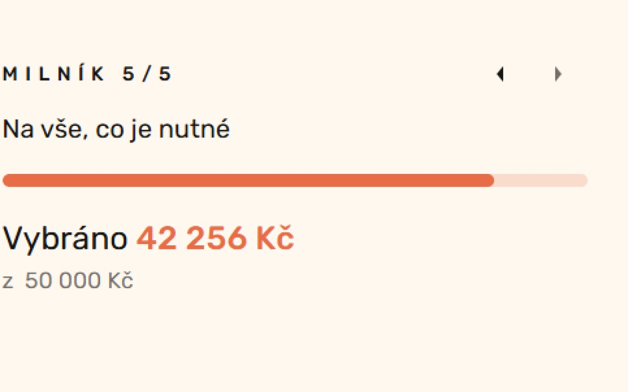 Milovaná teta bojující s rakovinou, která přišla nečekaně o manžela