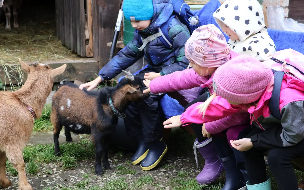 Pomozte❤️ Srdce pro zvířata - naděje pro opuštěné