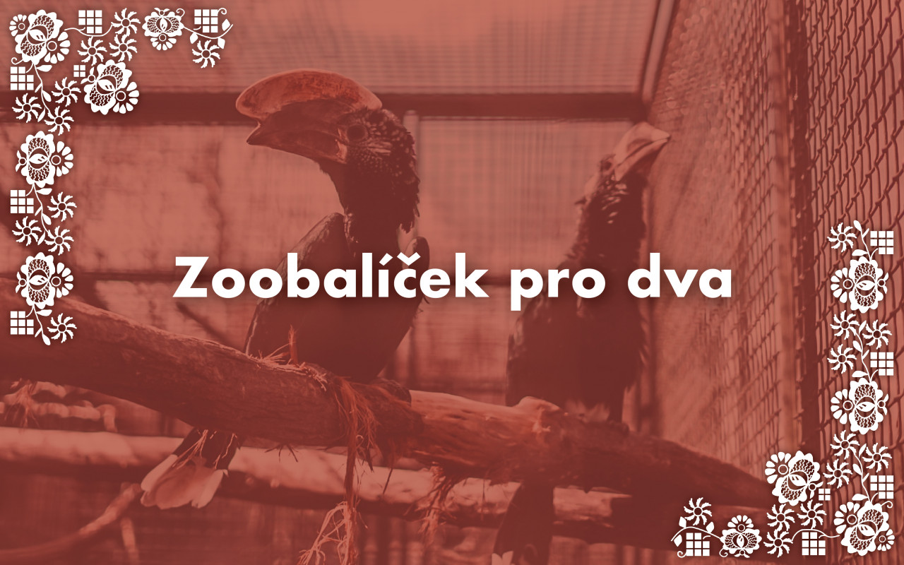 Podpořili jste zvířata ze Zoo Hodonín