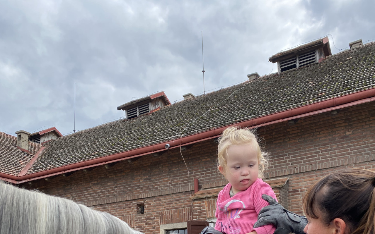 Nelinka❤️s Downovým syndromem