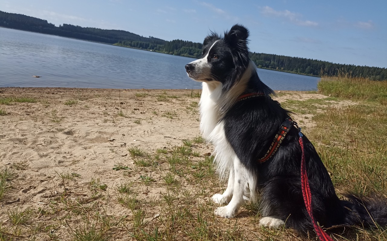 Pomohli jste Najtíkovi zase běhat