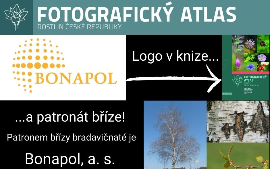 Fotografie všech českých rostlin v jedné KNIZE? Pojďme to dotáhnout!