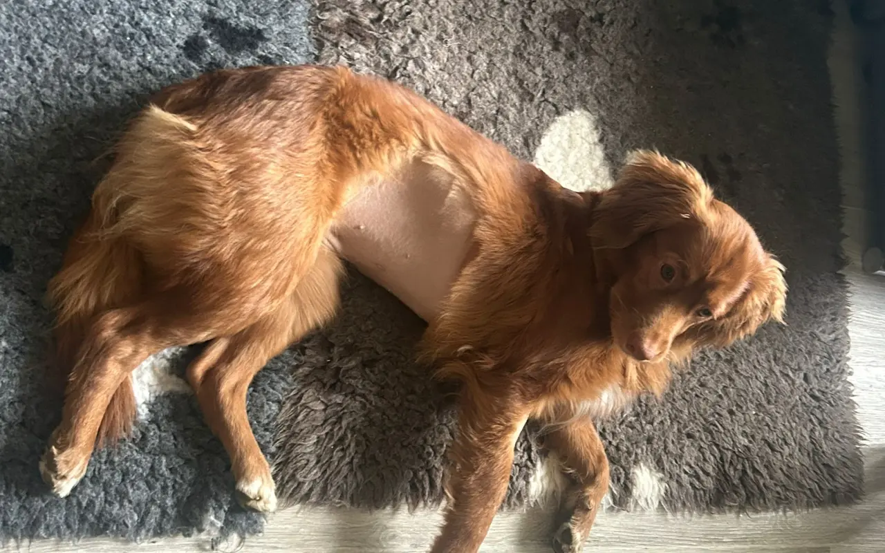 Pomohli jste Aini k druhé šanci na život