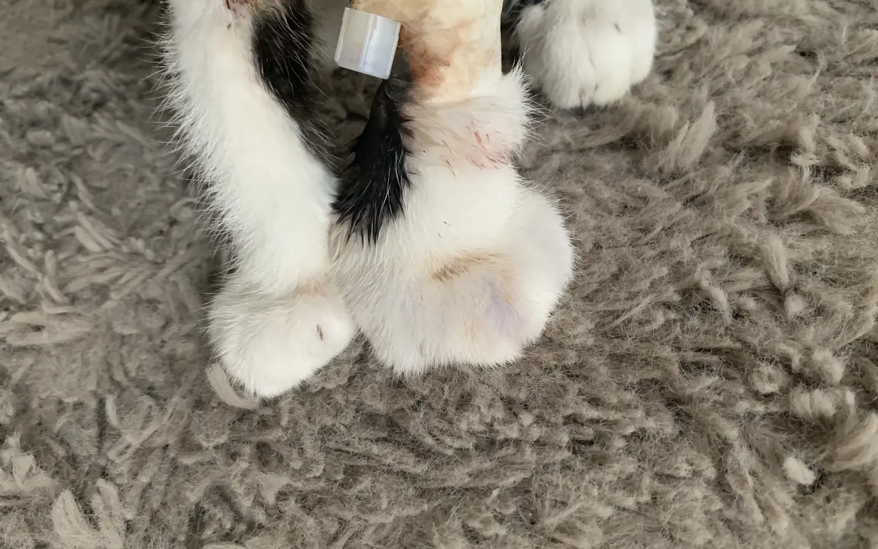 Pomohli jste malému Bubu v boji s nemocí