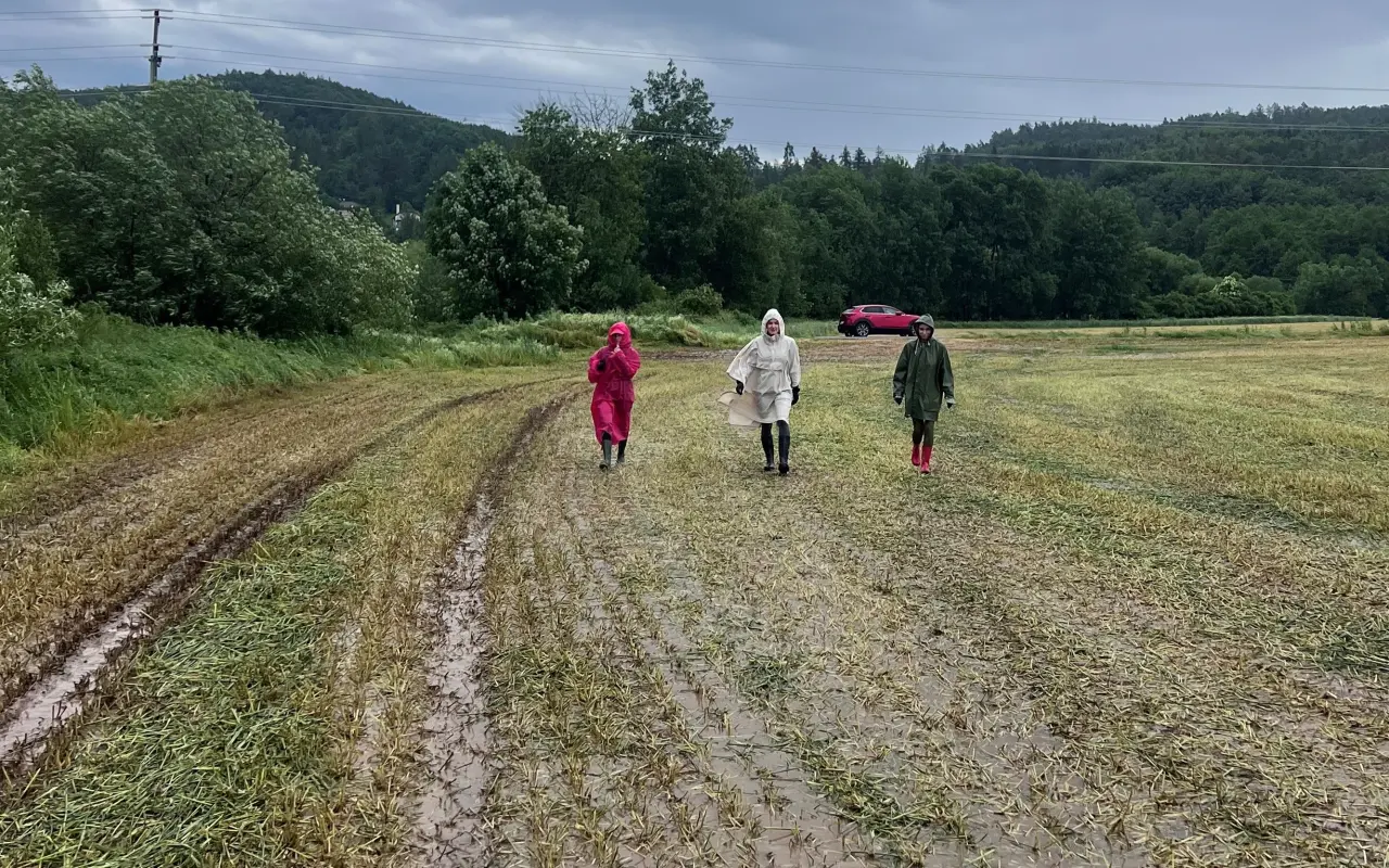 247 zachráněných srnčat a počítáme dál! Zachraňujme i v nejtěžších podmínkách.