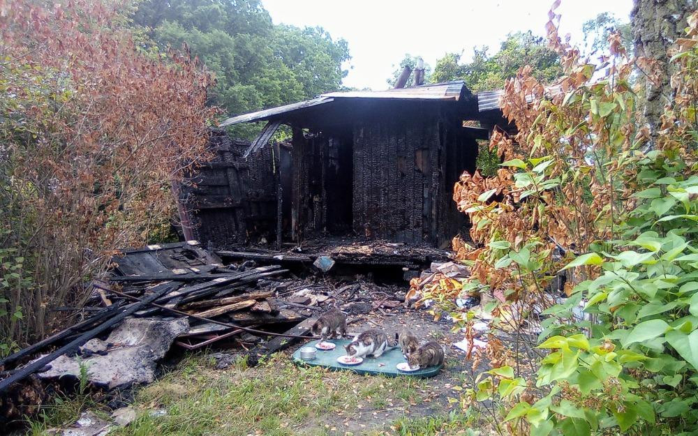 Neštěstí nechodí po horách, ale po kočkách