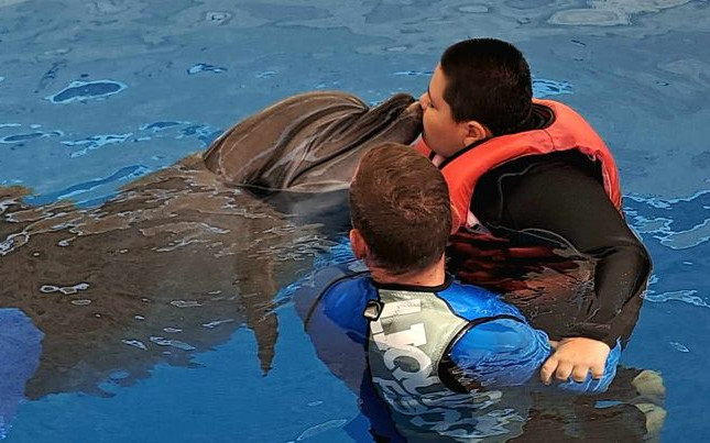 Naděje pro Zdenečka - delfinoterapie, neurorehabilitace
