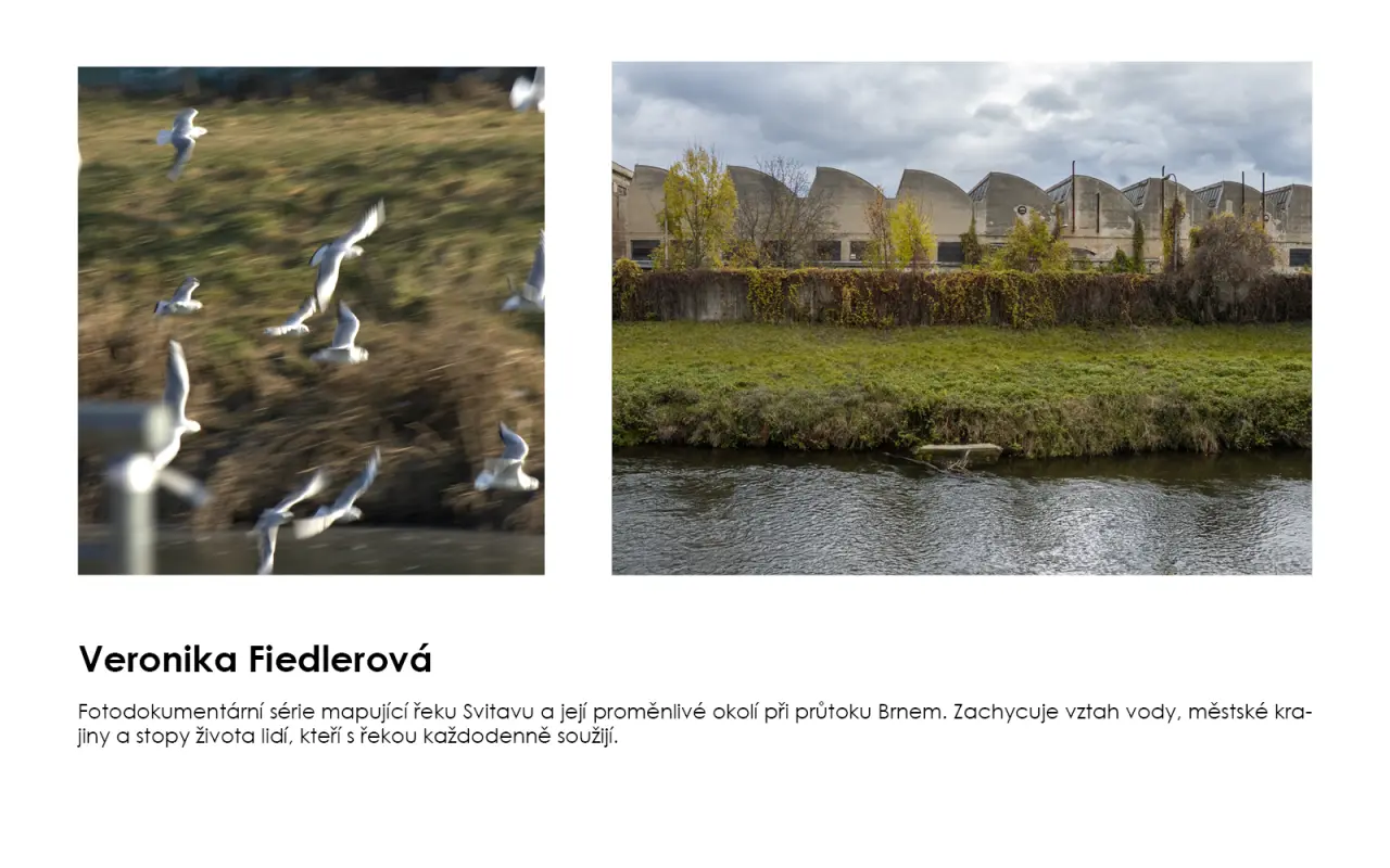 Podpořili jste výstavu maturitních projektů Fotografie4