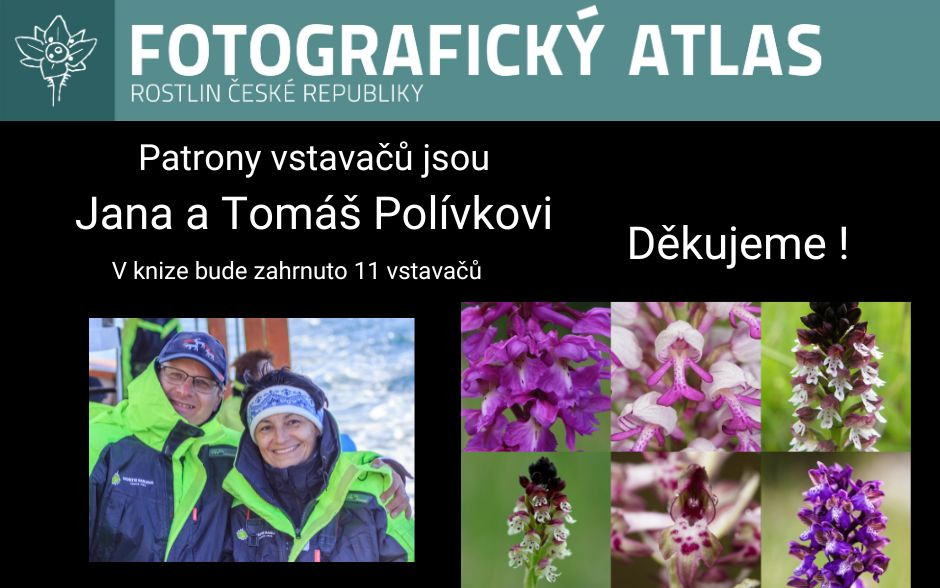 Fotografie všech českých rostlin v jedné KNIZE? Pojďme to dotáhnout!