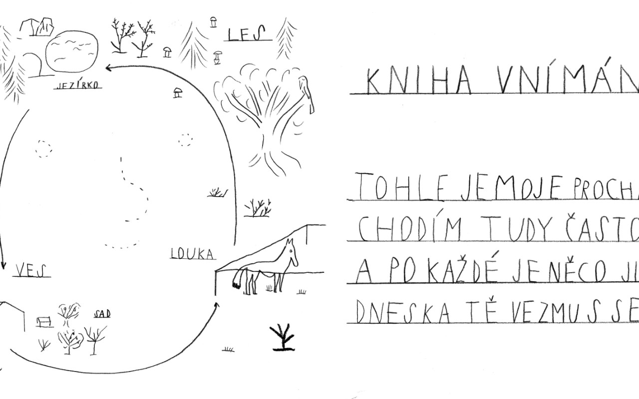 Kniha vnímání - dětská kniha o smyslech