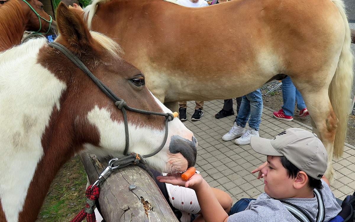 Naděje pro Zdenečka - delfinoterapie, neurorehabilitace