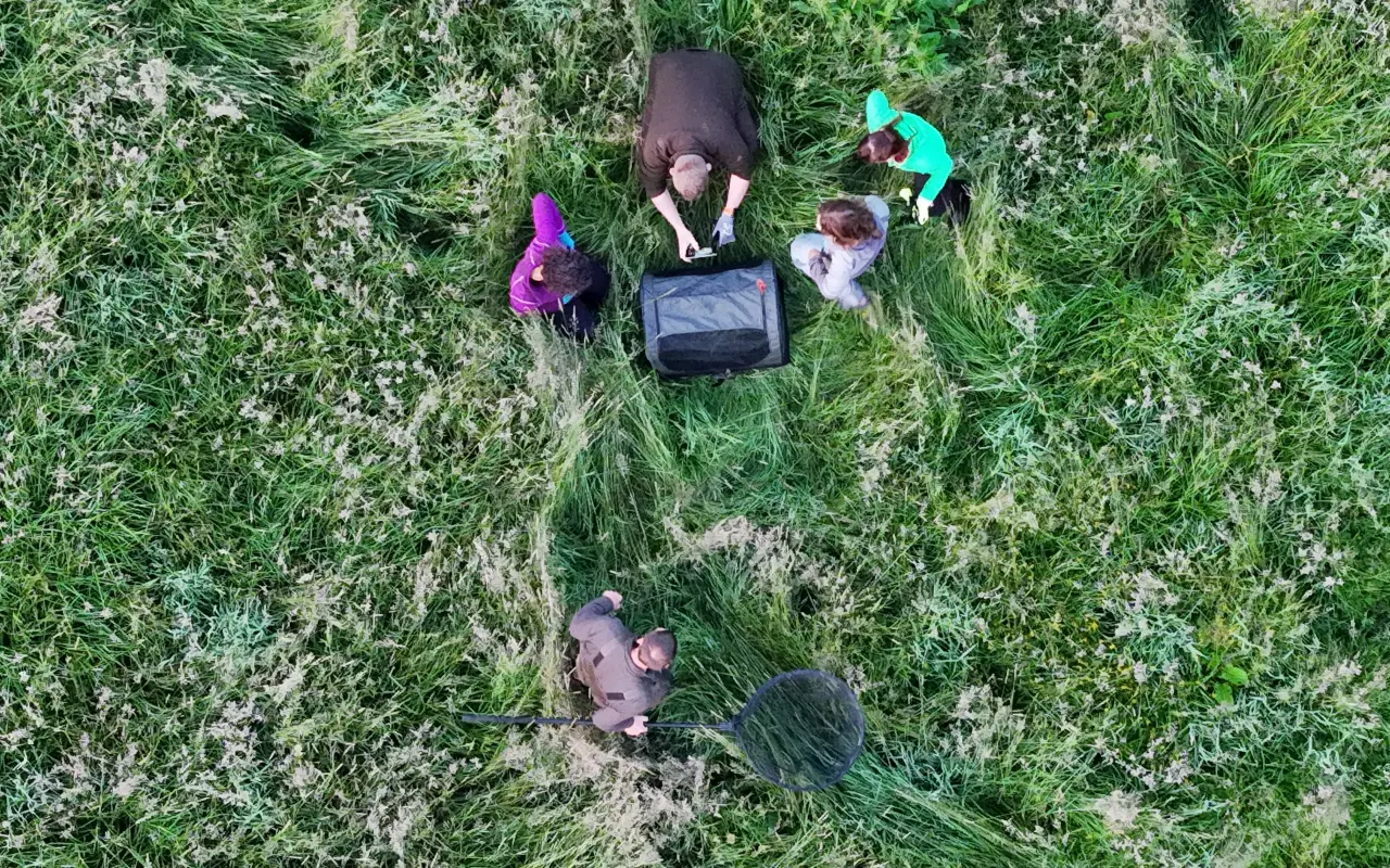 Pomohli jste zachránit mláďata na Brněnsku – dron, který znamená život