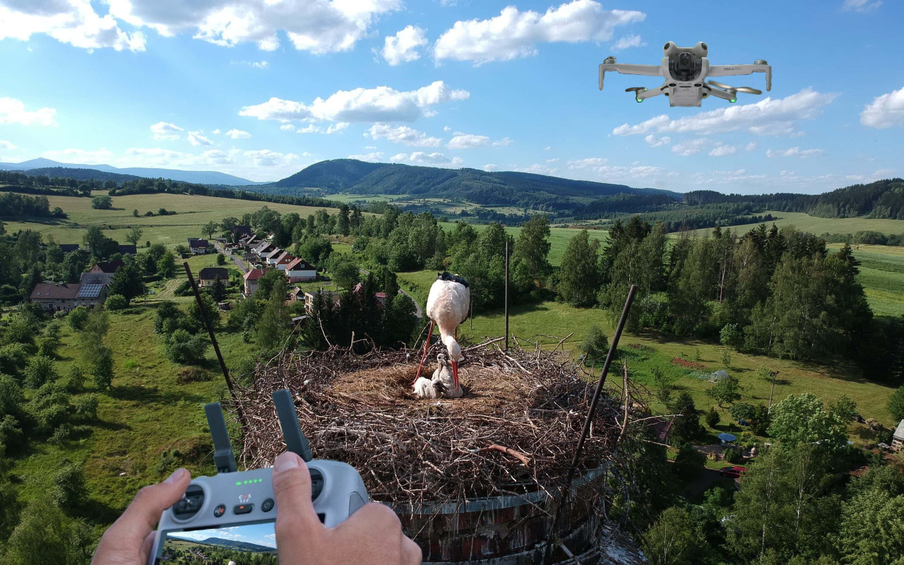 Pomohli jste ke koupi dronu pro ochranu zvířat