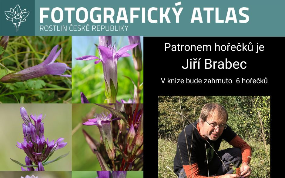 Fotografie všech českých rostlin v jedné KNIZE? Pojďme to dotáhnout!