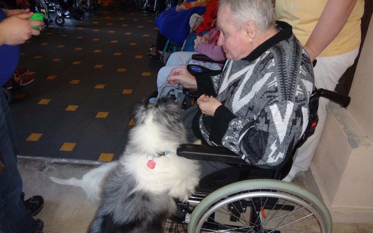 Canisterapie CANTES v krajích ČR jako sociální rehabilitace
