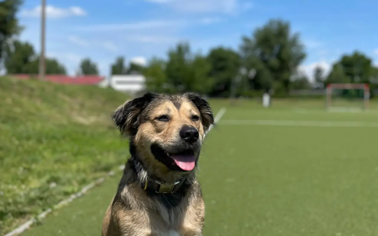 Pomozte Mii znovu vidět svět 🌸