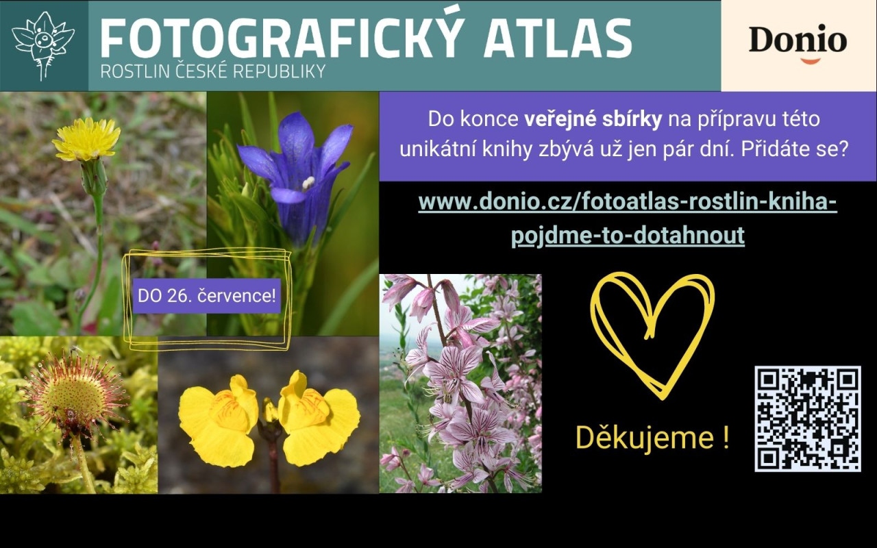 Fotografie všech českých rostlin v jedné KNIZE? Pojďme to dotáhnout!