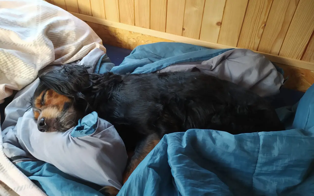 Pomohli jste Sejmy prožít stáří důstojněji
