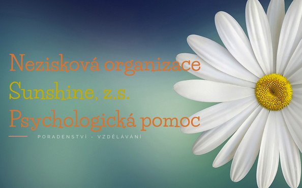 Psychologické poradenství on-line v rámci pandemie Covid-19