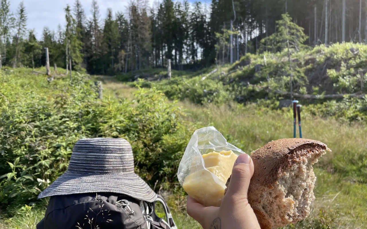 Vydejte se mnou knihu Hledání domova na stezce svatého Olafa