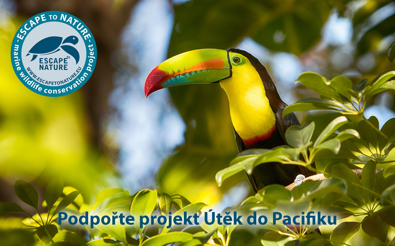 Útěk do Pacifiku - Papua Nová Guinea