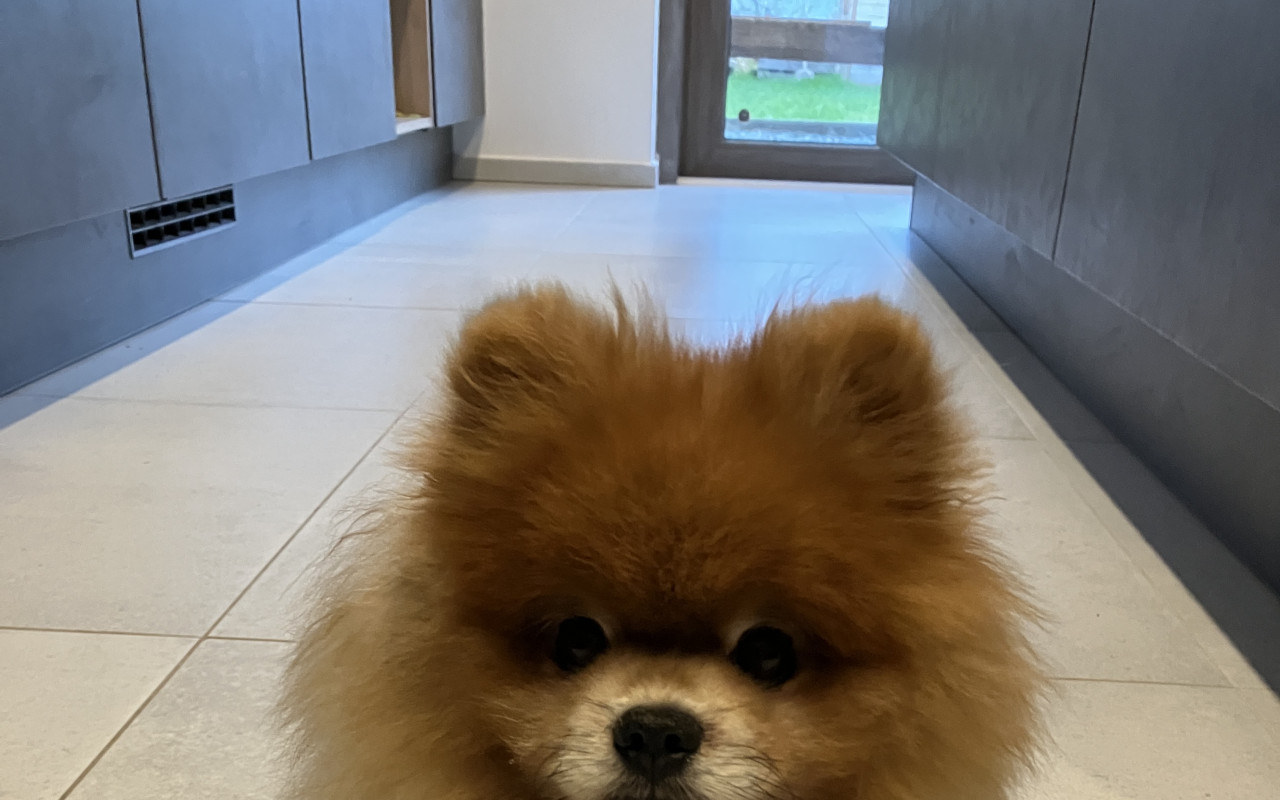 Pomoc pro Tedíka
