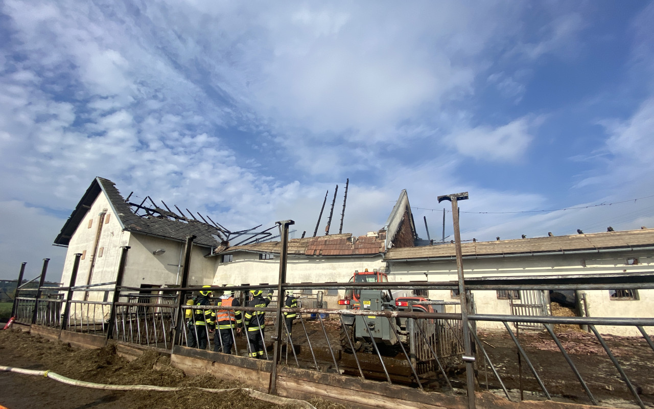 Přispěli jste na výstavbu nové stáje pro dobytek po požáru
