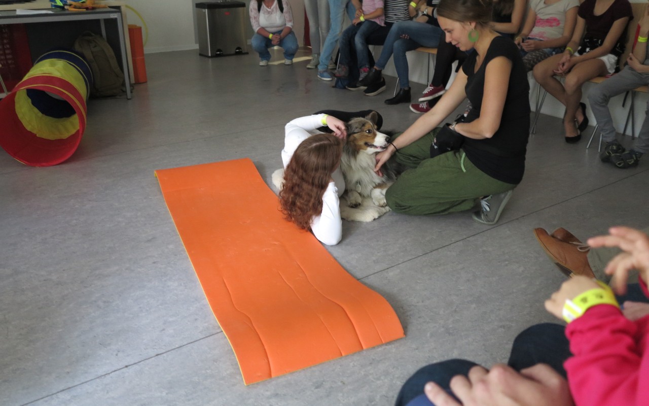 Canisterapie CANTES v krajích ČR jako sociální rehabilitace