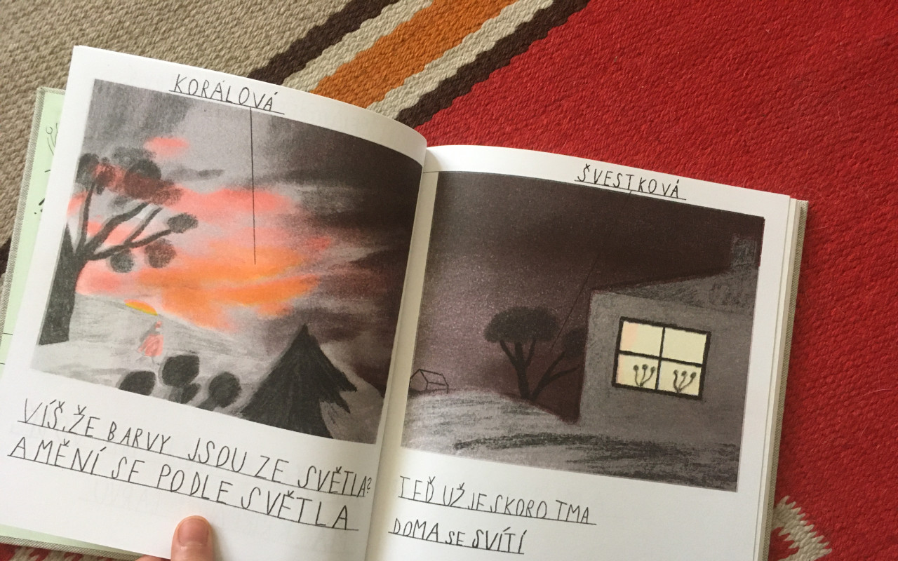 Kniha vnímání - dětská kniha o smyslech