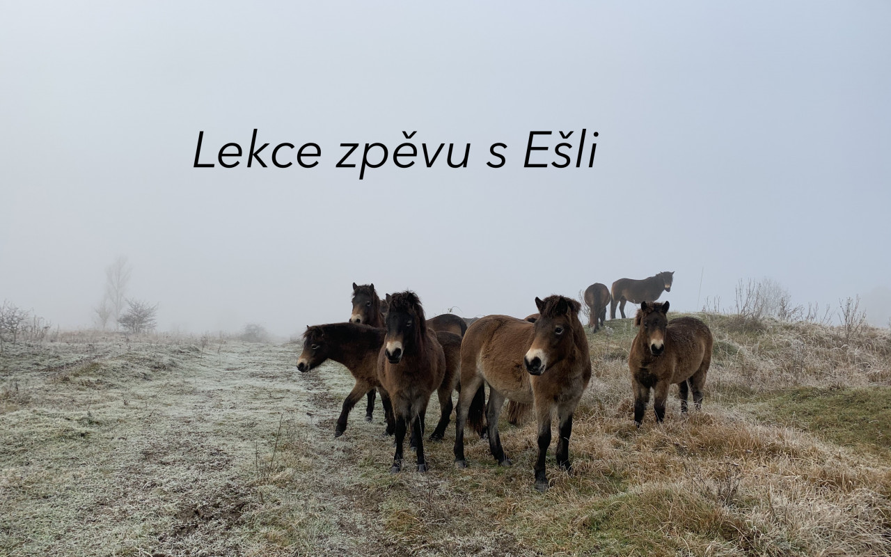 Podpořte první videoklip, “pražské Američanky ze Slovenska”, zpěvačky Ešli!