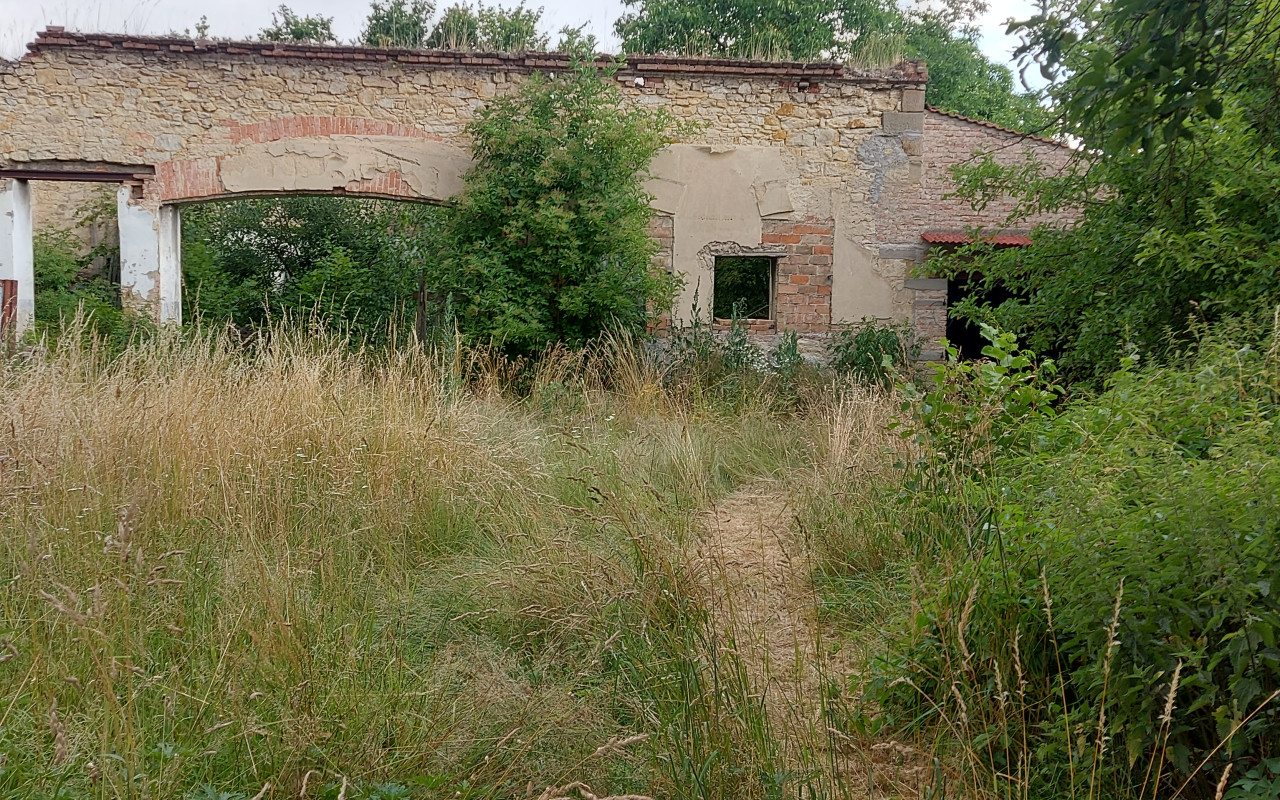 Kočičí park - Útulek SOZLit, část 1. střecha a oplocení