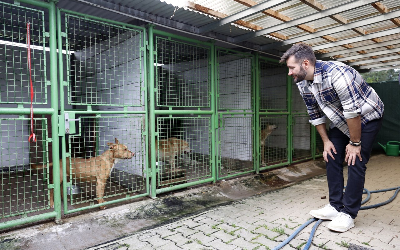 Pomohli jste s krmivem pro opuštěná zvířátka