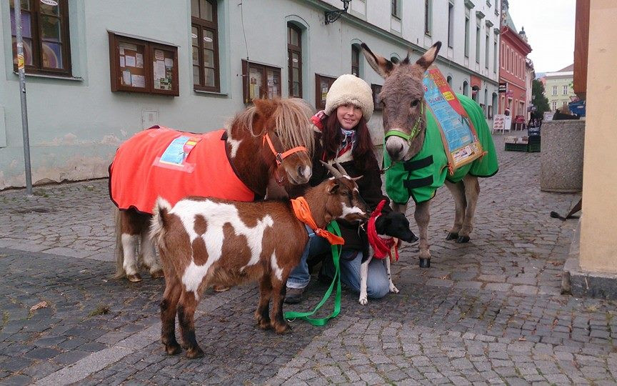 Zvířátka patří na Dvoreček – pomozte nám udržet zvířátka doma (u Adélky)