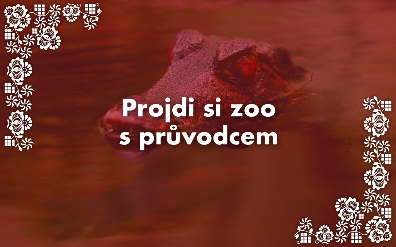 Podpořili jste zvířata ze Zoo Hodonín