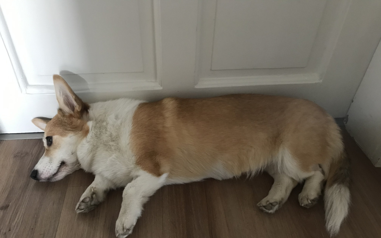 Pomohli jste Abigail
