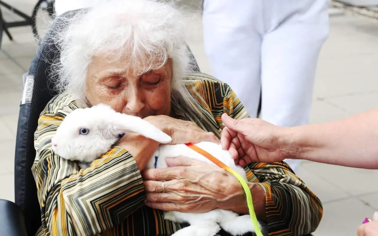 Pomohli jste tlapkám a kopýtkům, které léčí