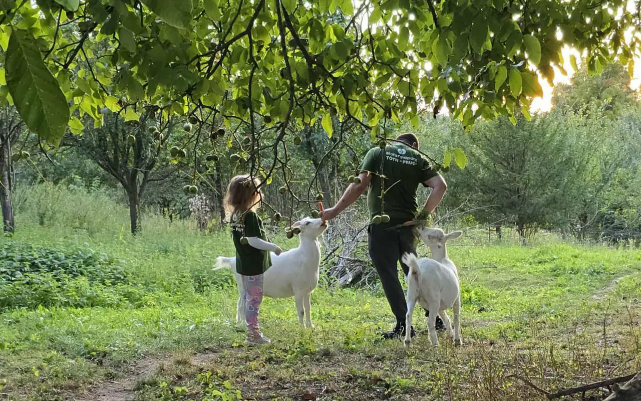 Zvířata přišla o život – my o kus srdce. Podpořte záchranu farmy po útoku psů.
