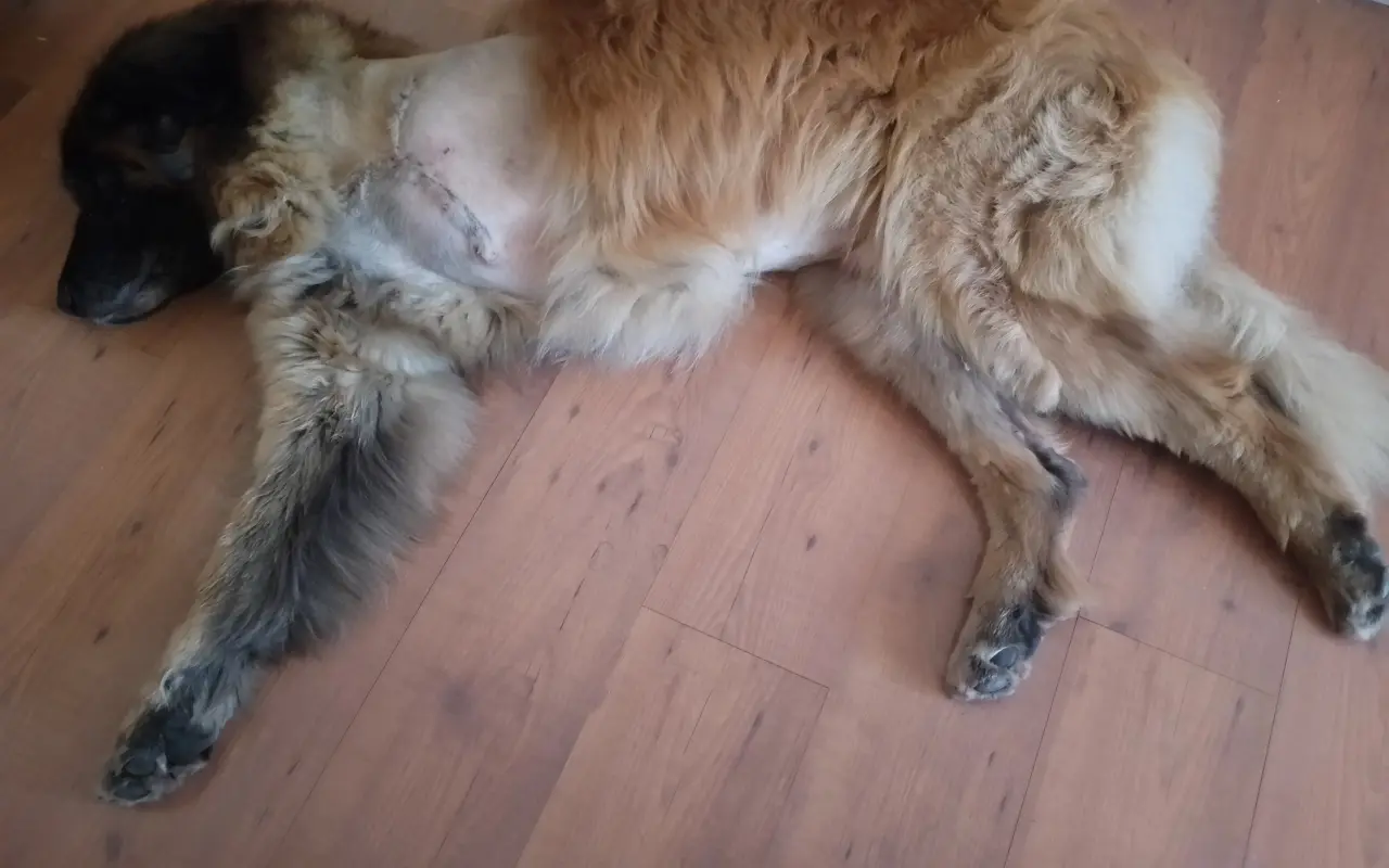 Pomohli jste Chuckovi k nové pacence