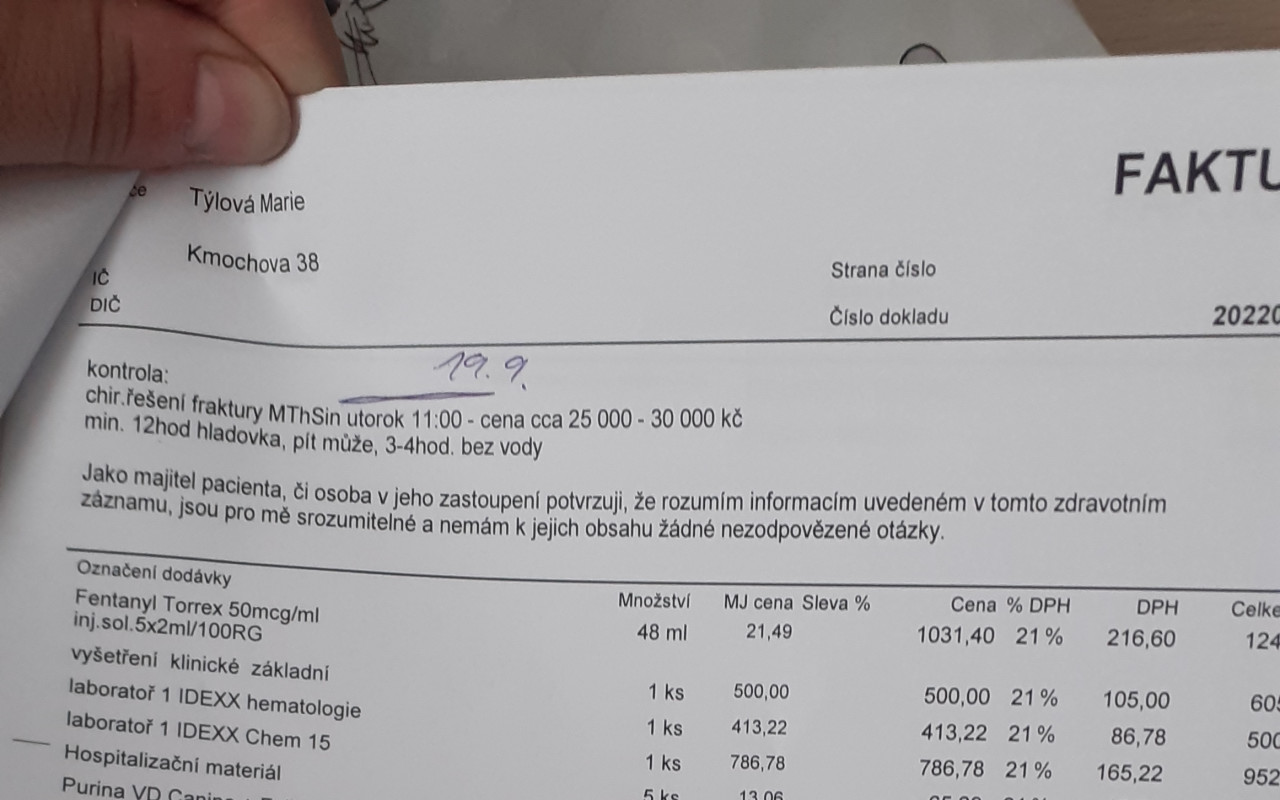 Pomohli jste fence Kyře, která byla sražena autem k lepšímu životu