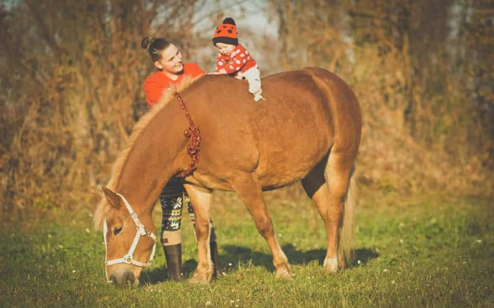 Equestriam - ježdění pro každého